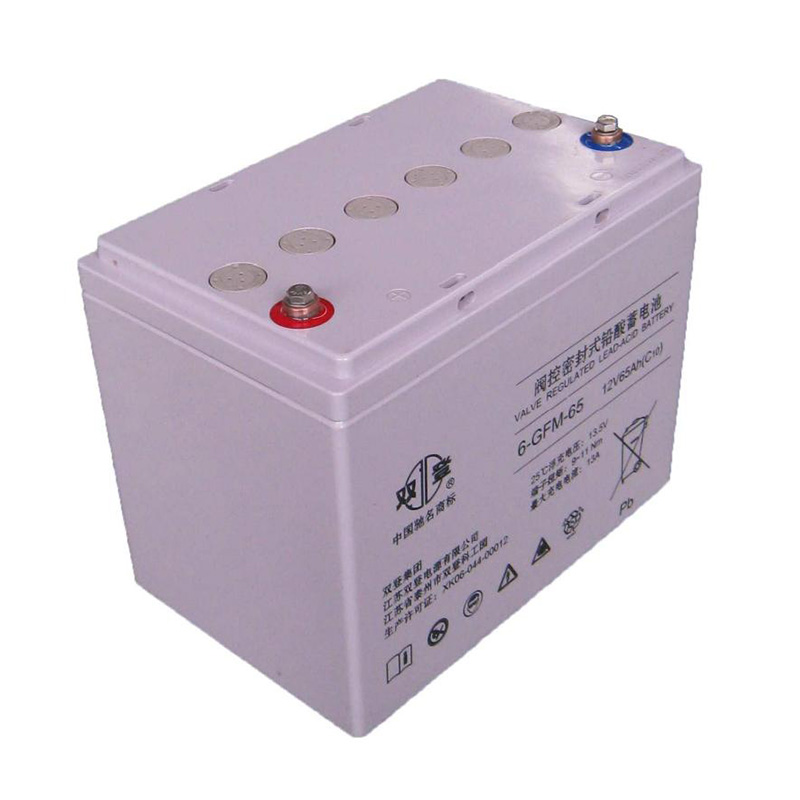 双登蓄电池 6-GFM系列 12V65AH 阀控密封式UPS电源铅酸蓄电池