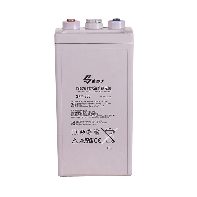 厂家直销 双登蓄电池GFM-300 2V300AH蓄电池 电厂 直流屏 UPS后备 太阳能专用